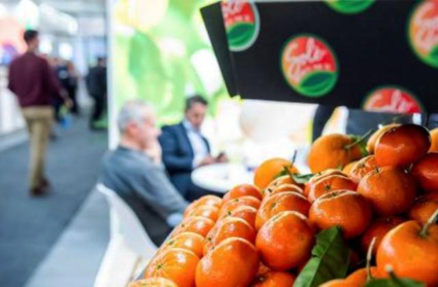 Attività produttive, avviso fiere 2022/23. Turano: «La Sicilia a 12 fiere internazionali». Ecco quali e dove